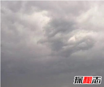 飛機上拍到真龍，真龍現身征兆著(zhù)什么?